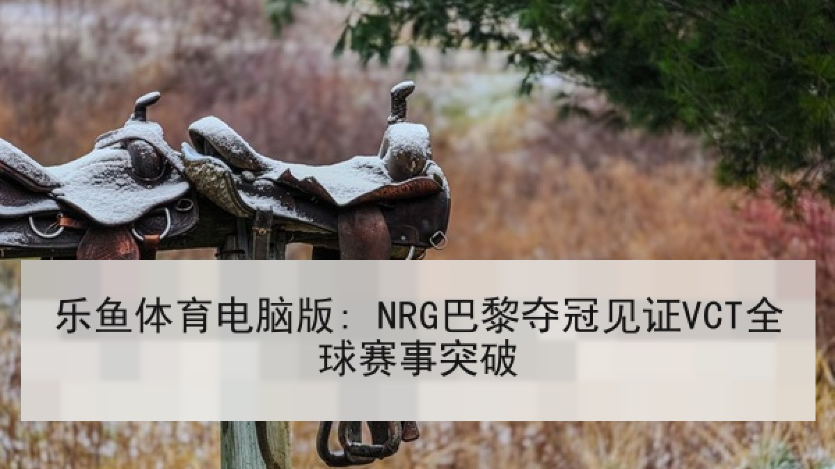 乐鱼体育电脑版: NRG巴黎夺冠见证VCT全球赛事突破