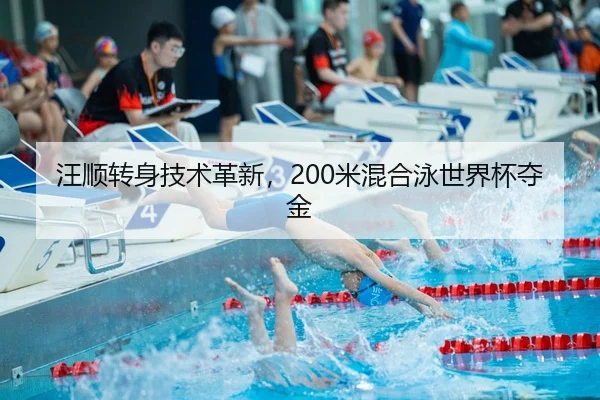 wang-shun-zhuan-shen-ji-shu-ge-xin-mi-hun-he-yong-shi-jie-bei-duo-jin-3-272.jpg