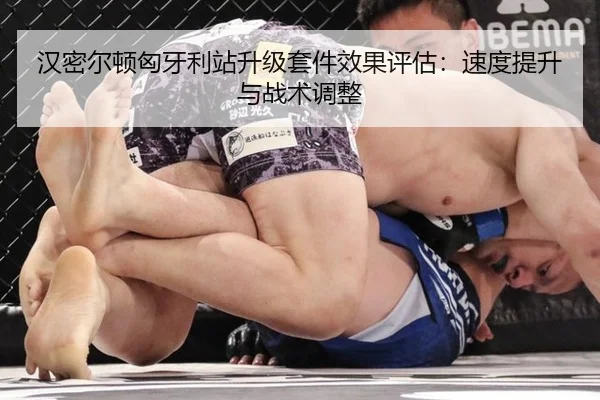 han-mi-er-dun-xiong-ya-li-zhan-sheng-ji-tao-jian-xiao-guo-ping-gu-su-du-ti-sheng-yu-zhan-shu-tiao-zheng-3-246.jpg