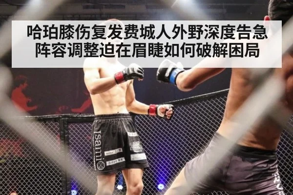 哈珀膝伤复发费城人外野深度告急阵容调整迫在眉睫如何破解困局